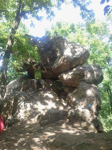 2017-05-20 12.06.50.jpg